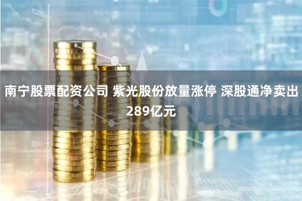 南宁股票配资公司 紫光股份放量涨停 深股通净卖出289亿元